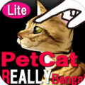 è-ʽ3Dè  Ѱ-Bengal Petting cat lite V3.6